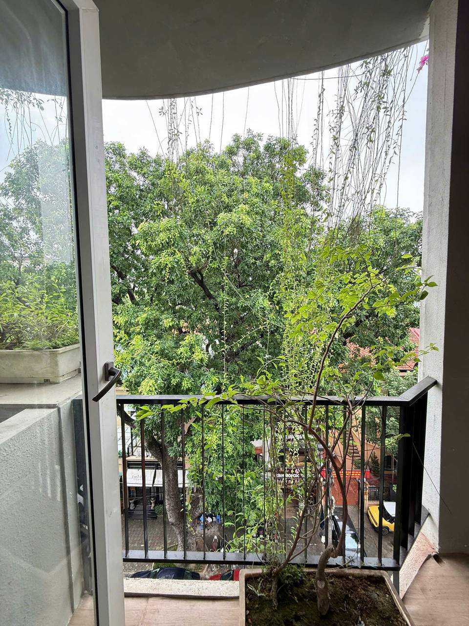 Căn hộ 1 Ngủ 1 Khách 55m2 tại Tầng 6 — ảnh 2